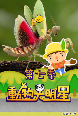 動物大明星 第7季