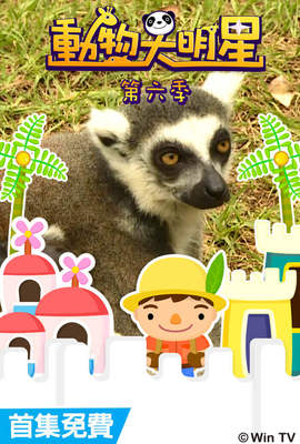 動物大明星 第6季