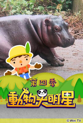 動物大明星 第4季