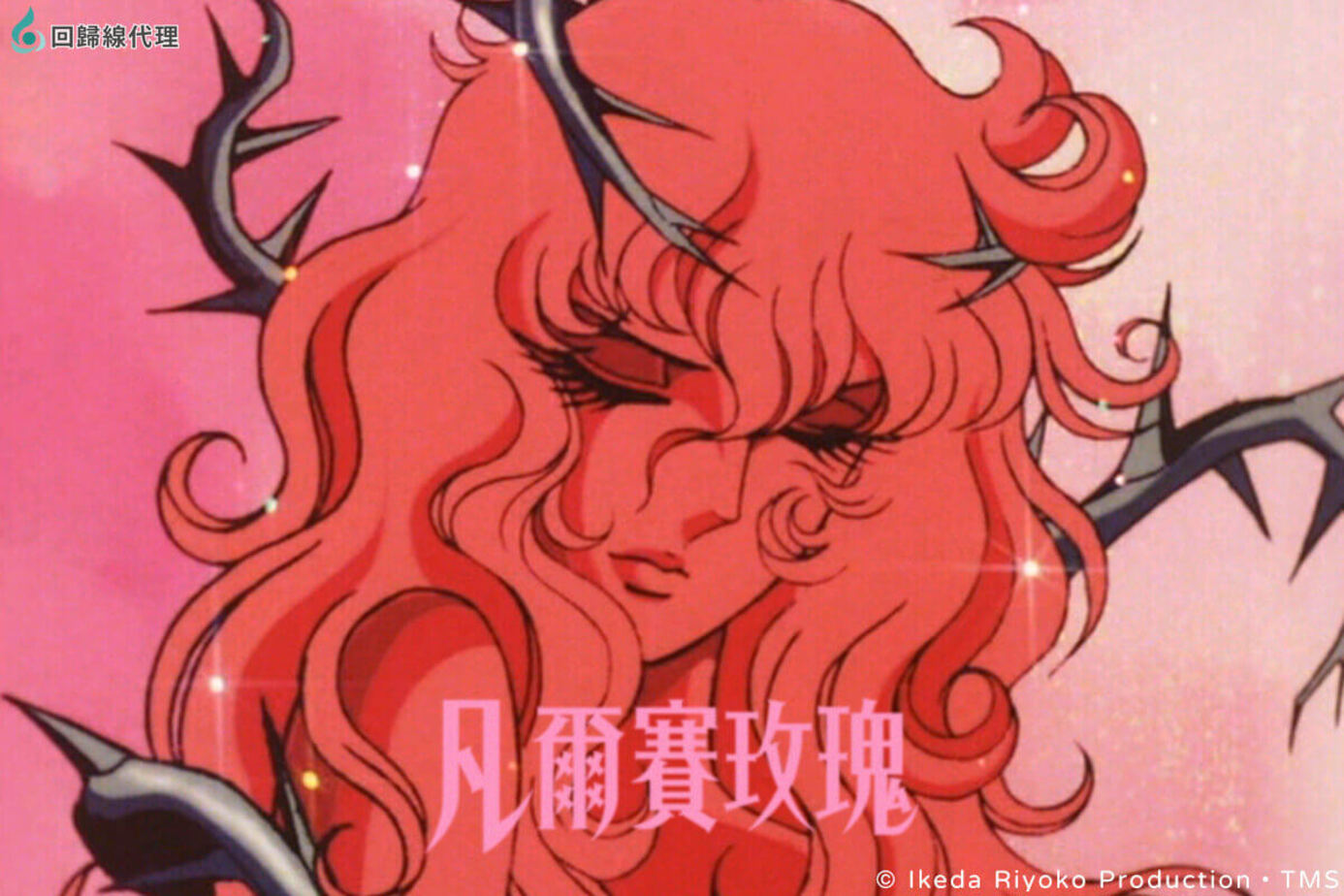 凡爾賽玫瑰