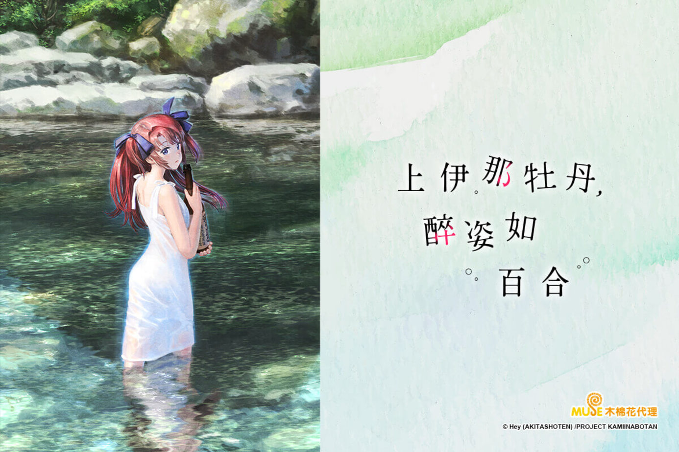 上伊那牡丹，醉姿如百合