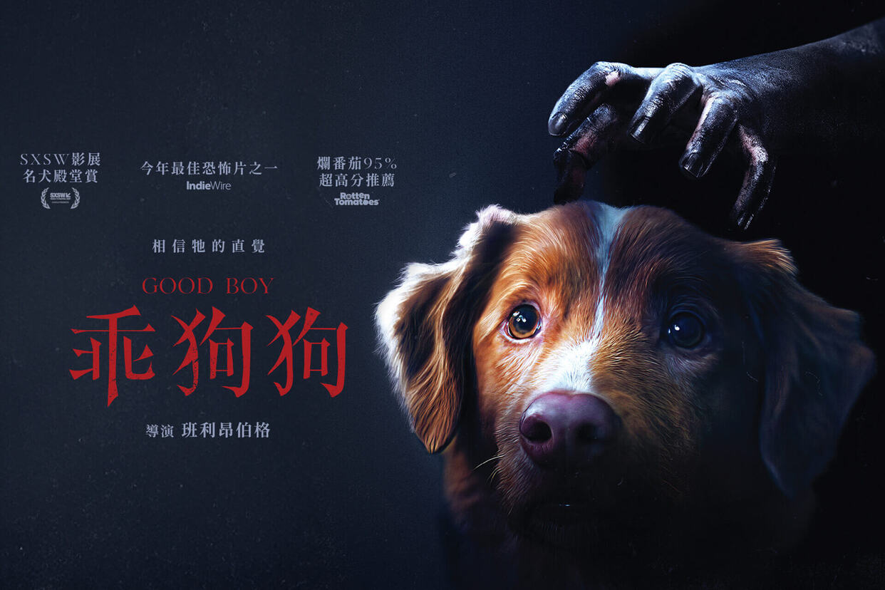 乖狗狗