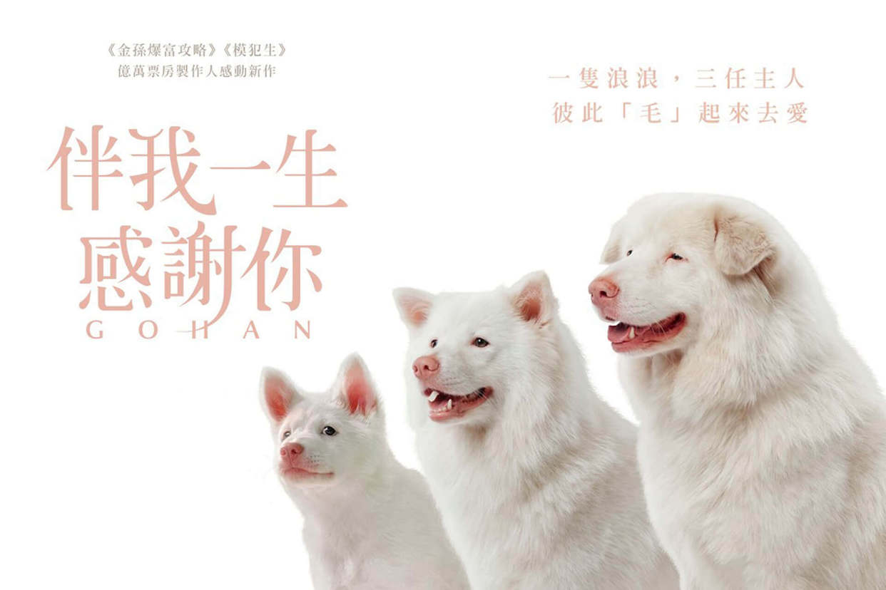伴我一生，感謝你