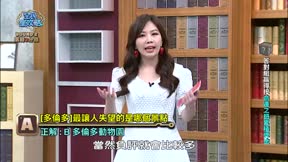 全民星攻略 第808集 生活資訊萬事通大PK