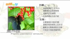 轉轉地球11
