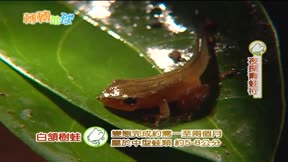 轉轉地球13