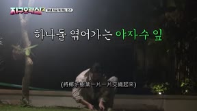 Biong Biong地球娛樂室第2季8