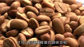 快樂小農夫10