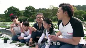 快樂小農夫11