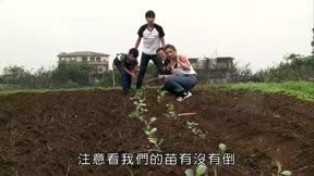 快樂小農夫13
