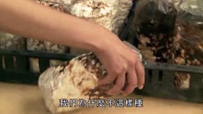 快樂小農夫14