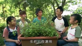 快樂小農夫18