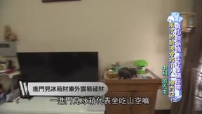 風水有關係_開運招財必殺技 第51集