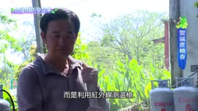 台灣一千零一個故事 第24集