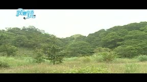 我要出去玩第2季 第22集 平溪