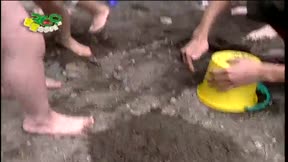 星星旅遊專車369號1