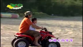 星星旅遊專車369號7
