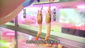 進擊的台灣 第37集