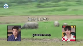 我獨自生活555