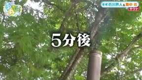 關於我們把節目全部丟給聲優那件事 第6集