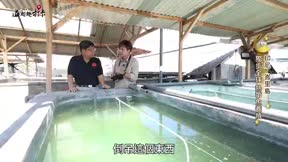 溢起趣打卡10