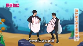 原來如此 第2季7