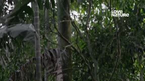 深入印度 第1季1