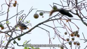 深入印度 第1季2
