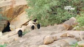 深入印度 第1季4