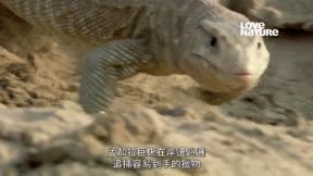 深入印度 第1季5