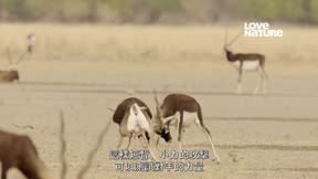 深入印度 第1季6