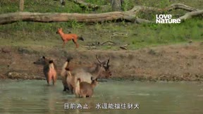 深入印度 第1季10