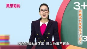 原來如此 第2季 第31集