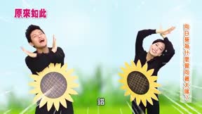 原來如此 第2季 第36集
