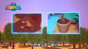 百變校巴之超學先鋒6