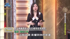全民星攻略 第1126集 行業間的都市傳說