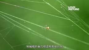 風之島 第1季1