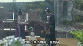 鳳囚凰 第25集