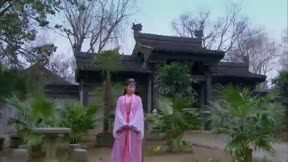 畫皮之真愛無悔 第27集