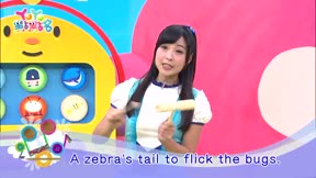YOYO點點名第19季 第37集