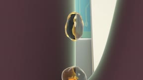 奇奇和努娜 第1季 第54集 困住蜜蜂的石頭