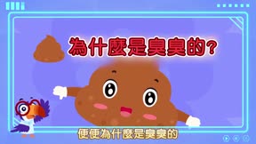 貝樂虎大百科2