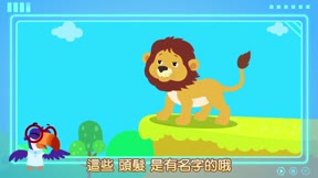 貝樂虎大百科7