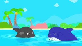 貝樂虎大百科8