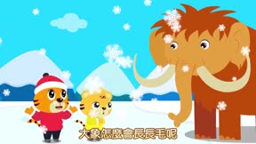 貝樂虎大百科16