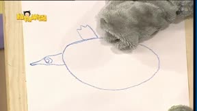 認識台灣系列之動物樂園 第49集 袋鼠