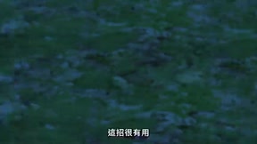 轉生之後我變成了龍蛋10