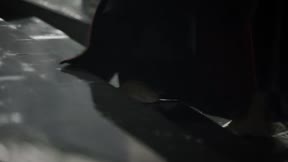大秦賦 第37集