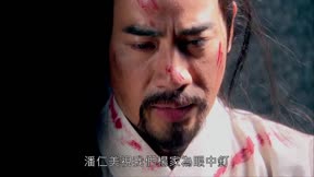 少年楊家將11