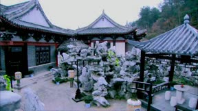 少年楊家將16